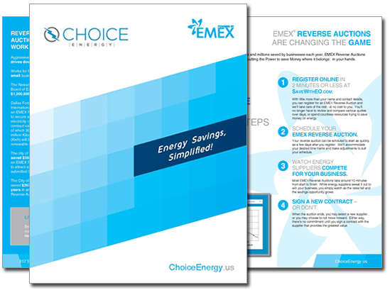 choice energy brochure thumb for download